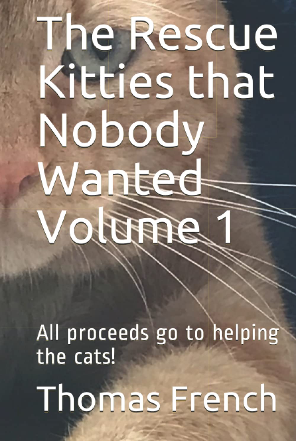 The Rescue Kitties that Nobody Wanted Volume 1: All proceeds go to helping the cats!