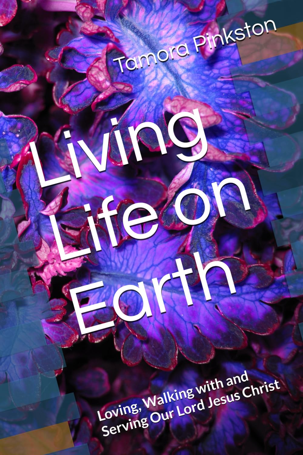 Living Life on Earth: Loving, Walking with and Serving Our Lord Jesus Christ