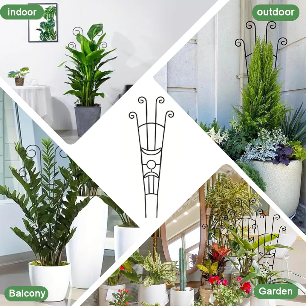 Metal Flower Trellis - Support Climbing Plants -6