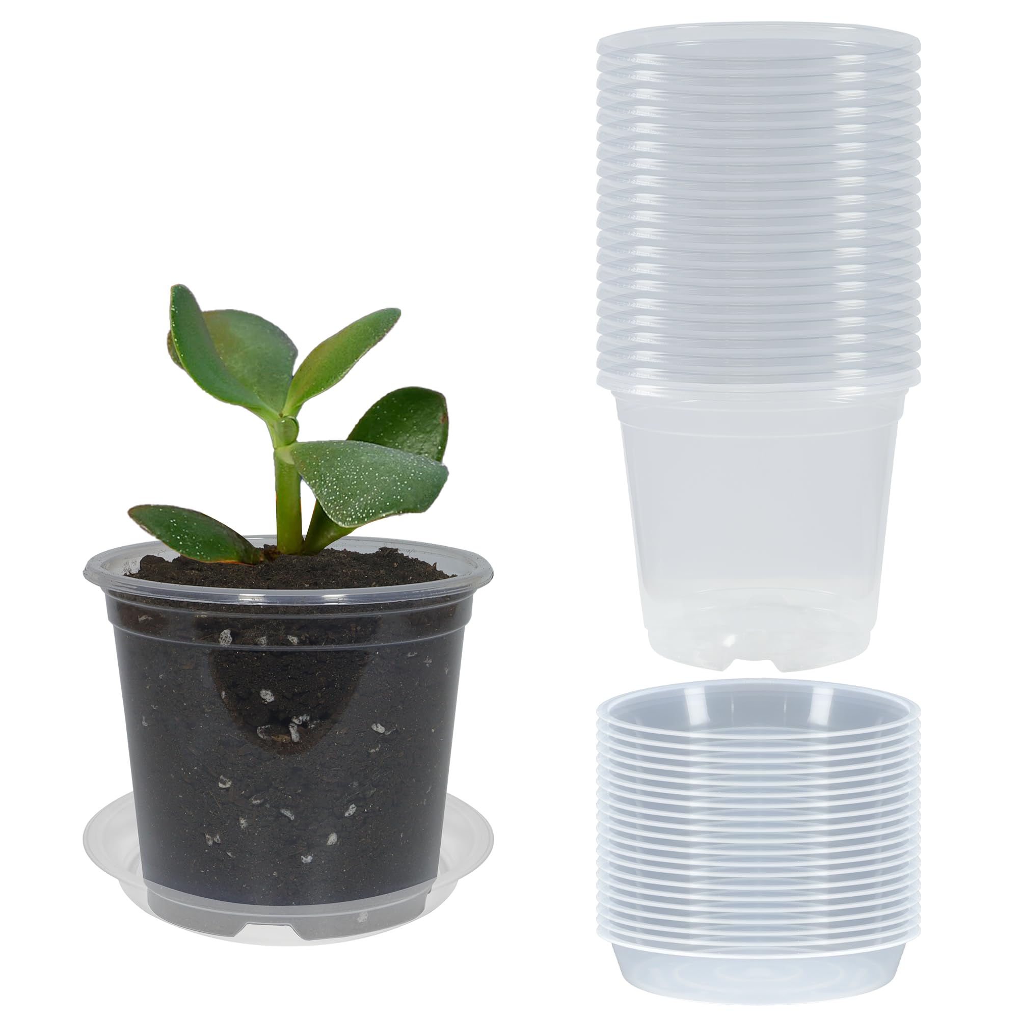 Clear Nursery Pots with Saucers 20 Pack