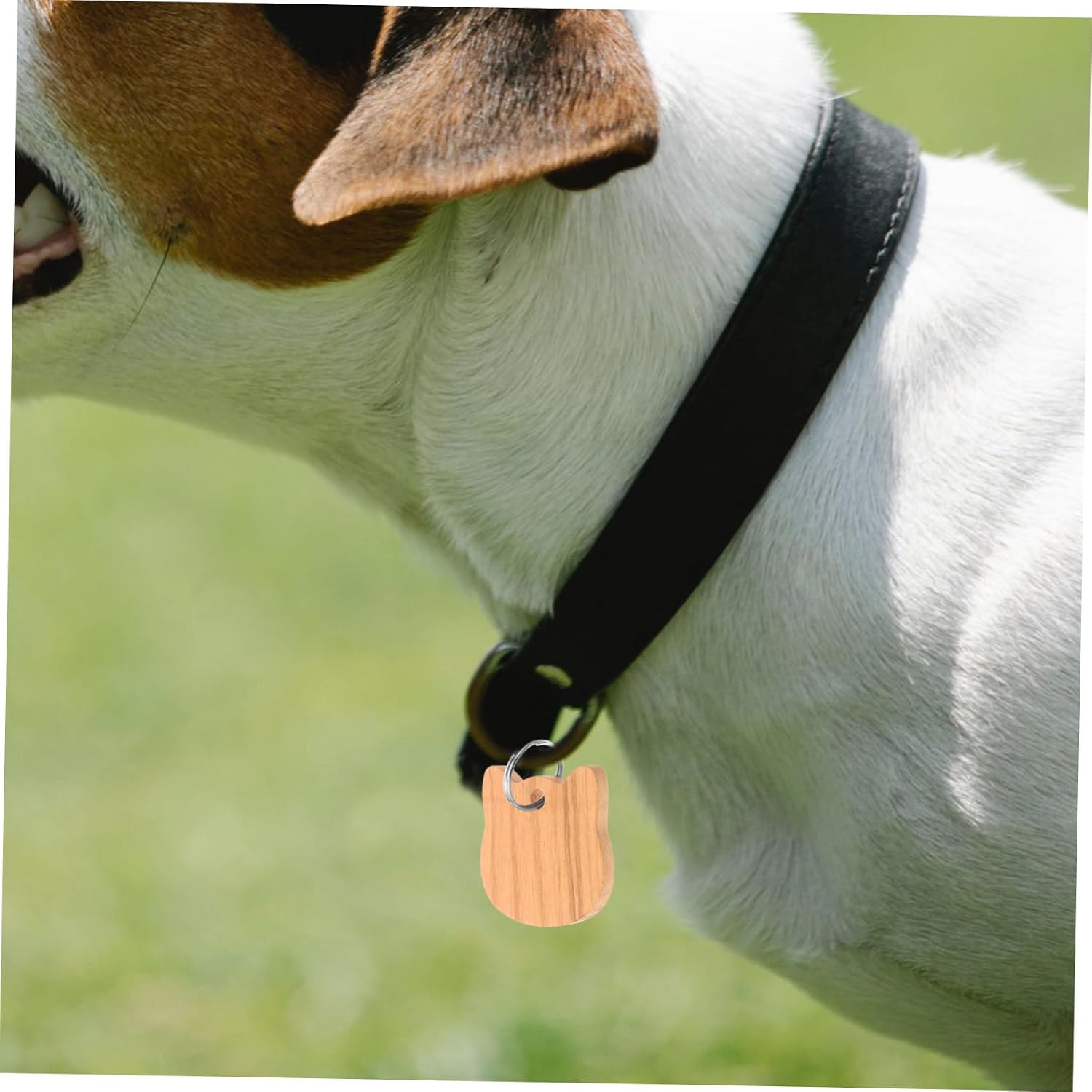 POPETPOP 3sets Cat Head Shaped Pet Id Tags Blank Wooden Dog Tags for DIY Engraving for Cats Dogs Puppies Pets Material 3pcs*3