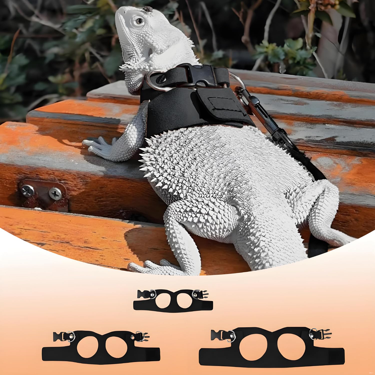 3 Pièces Cochon d'Inde Harnais, Ajustable Dragon Barbu Harnais Laisse, Laisse Réglable Lézard, Ensemble Dragon Barbu, pour Reptiles, Lézards Et Caméléons (Noir)