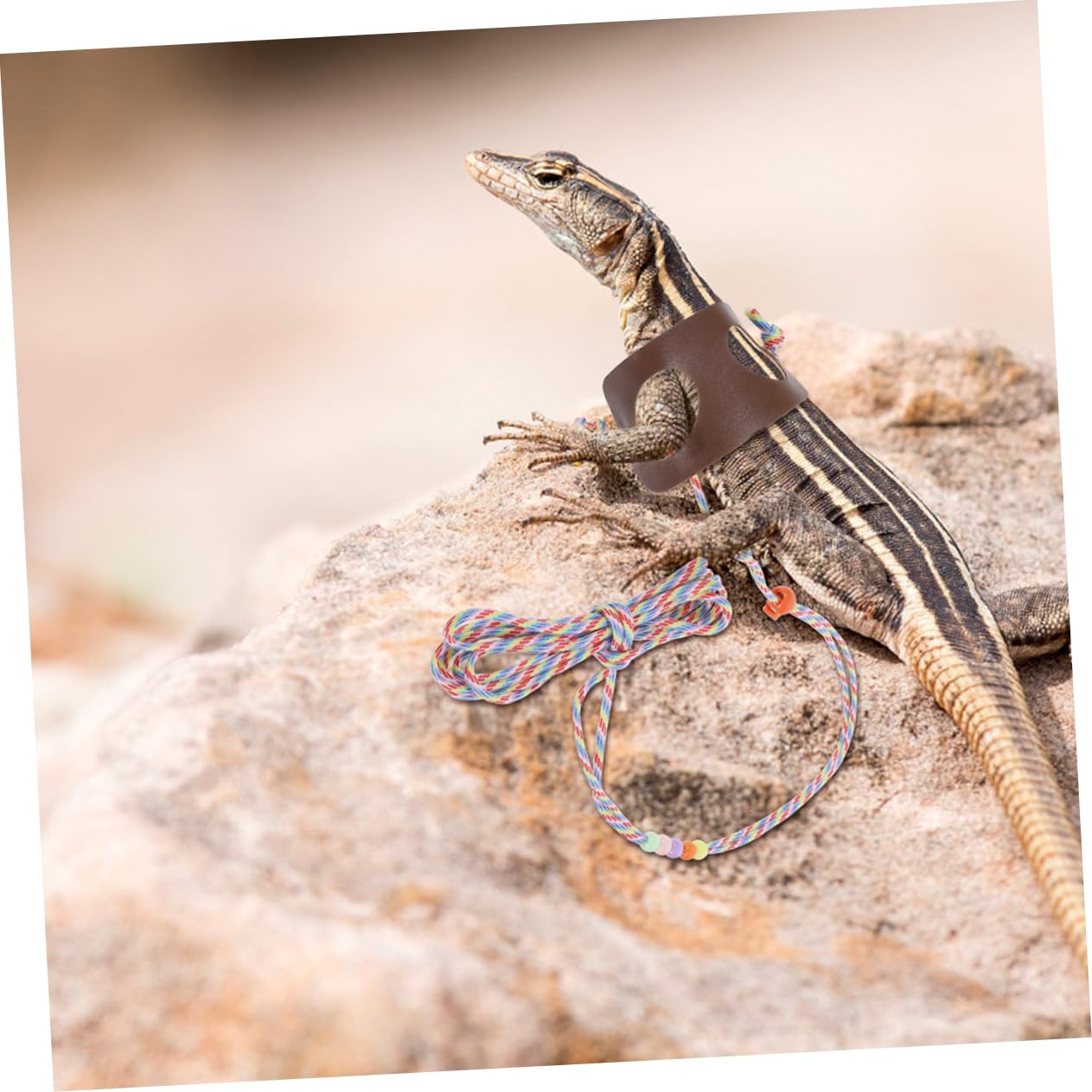 Happyyami Outdoor Reptile Leash Lizard Walking Lead Bearded Dragon Accessory 2 Pack Adjustable Harness Design