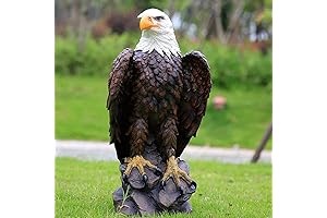 Captivating Eagle Statues for Enchanting Outdoor Environs