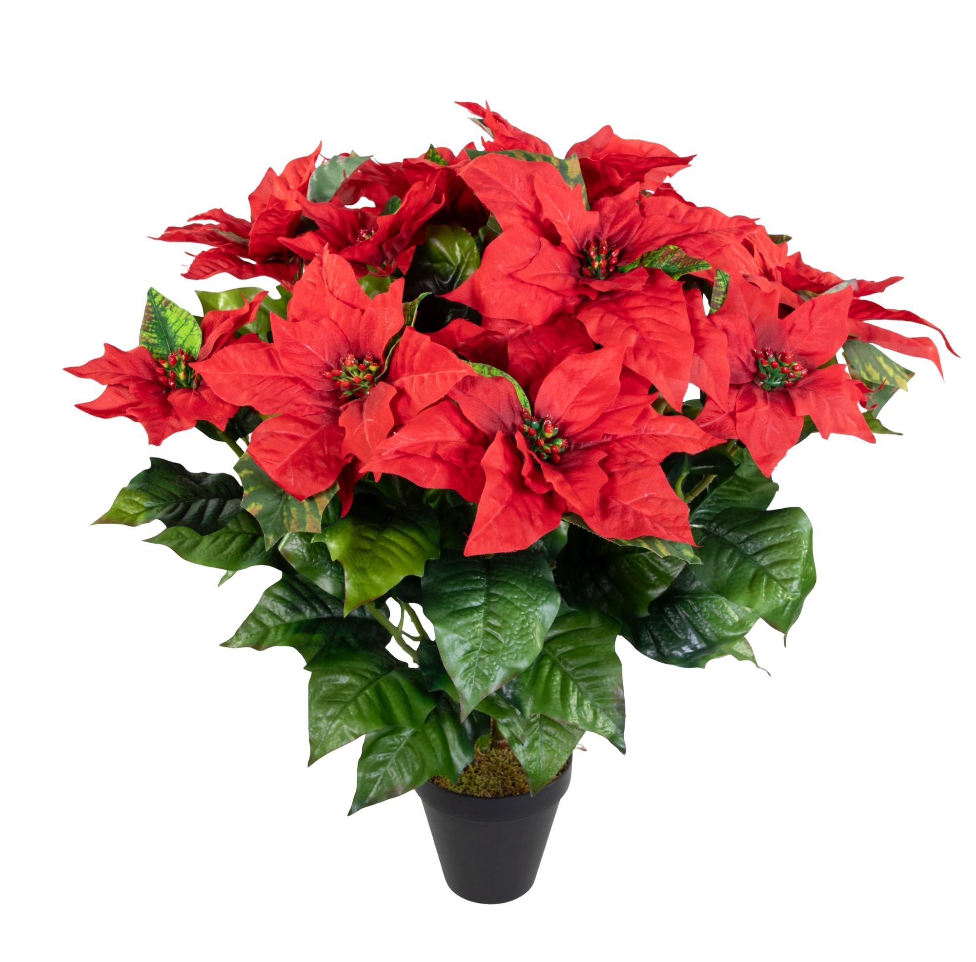 Seidenblumen Roß Weihnachtsstern 65x60cm im Topf rot PM künstliche Pflanzen Blumen Kunstpflanzen Kunstblumen Poinsettie