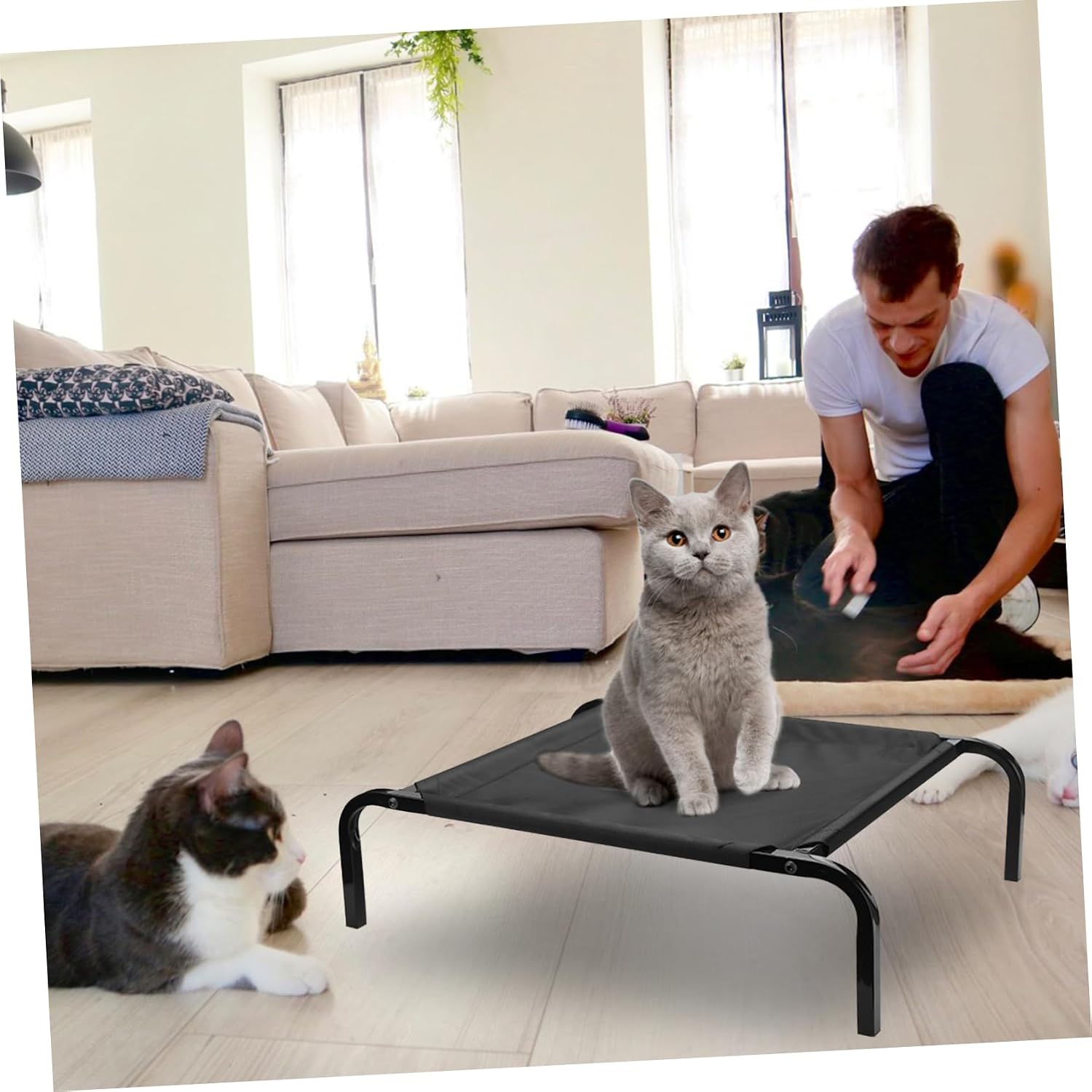 UPKOCH Detachable Elevated Pet Bed Cover Breathable Dog Cot with for Home Use Washable Four Season Mesh Fabric Pet Sleeping for Small Dogs