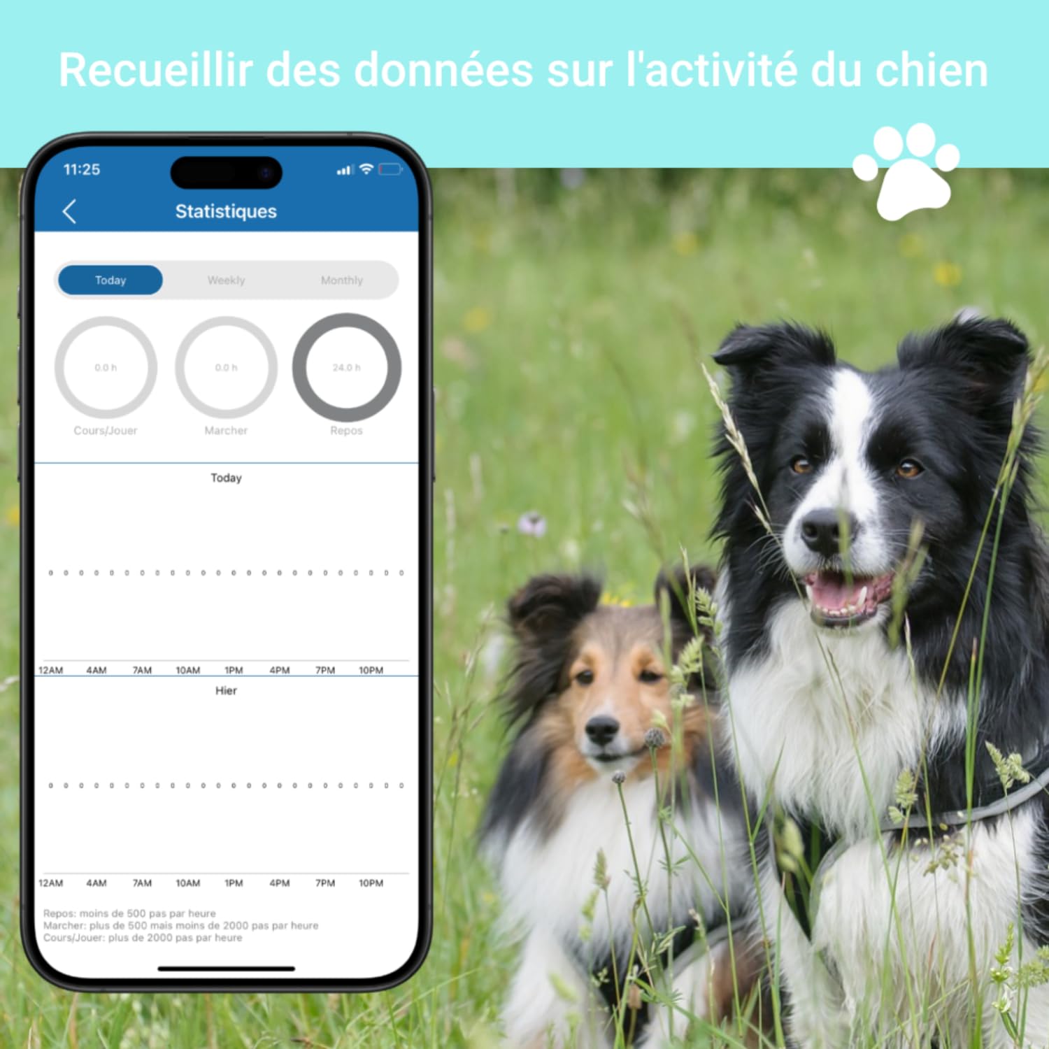 Collier GPS 4G TK919 Pro pour Chien - Traceur Anti-Fugue, Anti-Perte, Étanche - Moniteur d'Activité et Localisateur (Collier Inclus, Carte SIM Requise)