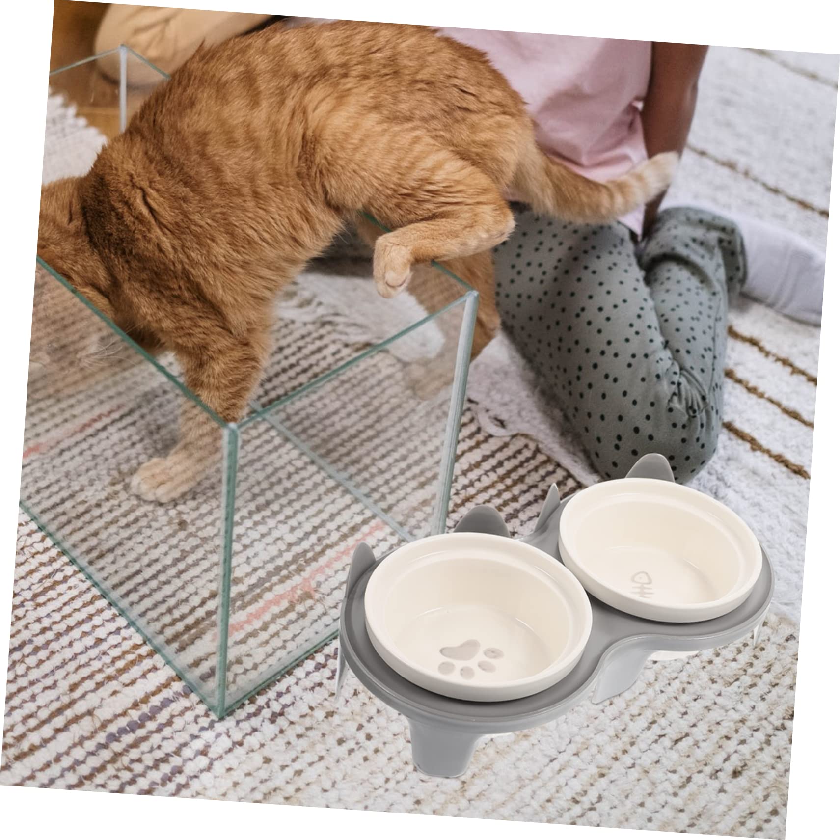 Erhöhter Katzennapf aus Keramik mit Ständer, Geneigtes Design | Doppelnapf Satz, Bissfest, Abnehmbar Aufgebaut, für Futter und Wasser Gleichzeitig, Haustierbedarf