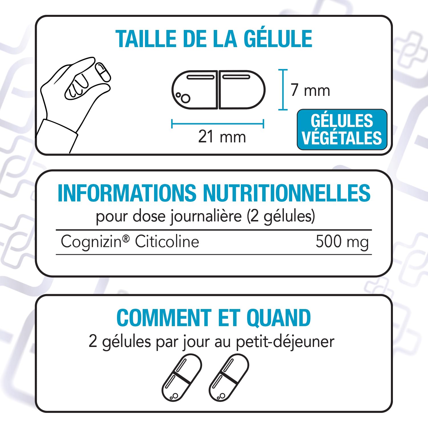 Citicoline Cognizin 500 mg PiùLife – Complément Alimentaire Memoire et Concentration – CDP Choline, Précurseur de Phosphatidylcholine et Acétylcholine – 2 Gélules par Jour, Sans Lactose, Sans Gluten