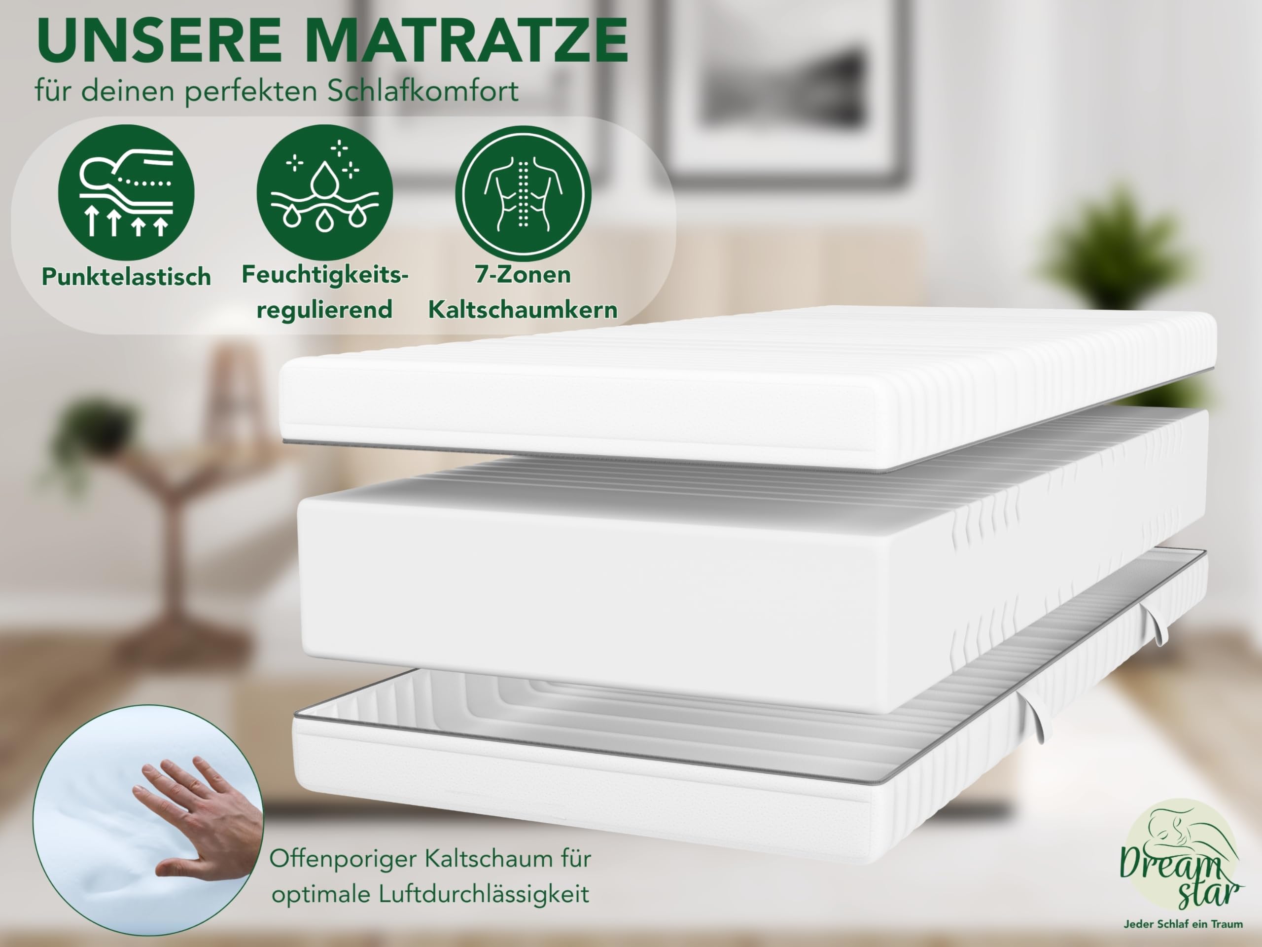 DREAMSTAR Kaltschaummatratze Vital Silber XXL 24 cm hoch | Ergonomische 7-Zonen Matratze 100x200 cm H3 | Hypoallergen & Antibakteriell | Bezug abnehmbar & waschbar | Öko-TEX® | (24cm, 100 x 200 cm)