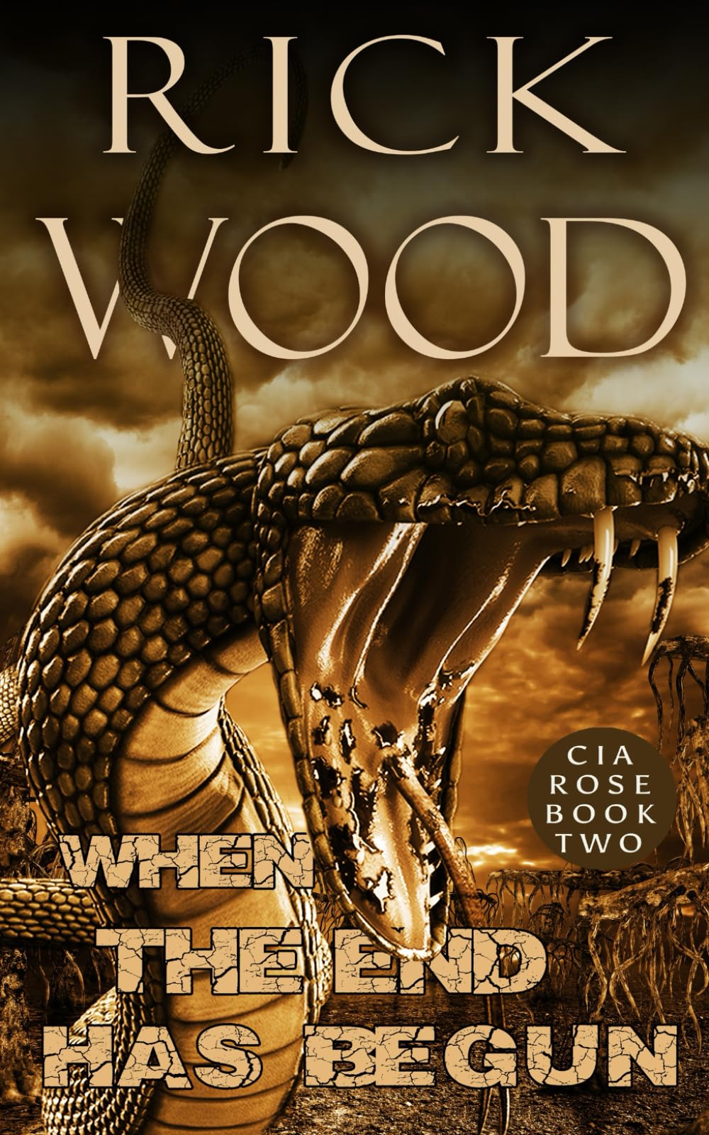 When the End Has Begun: An Apocalyptic Thriller Novel (Cia Rose)