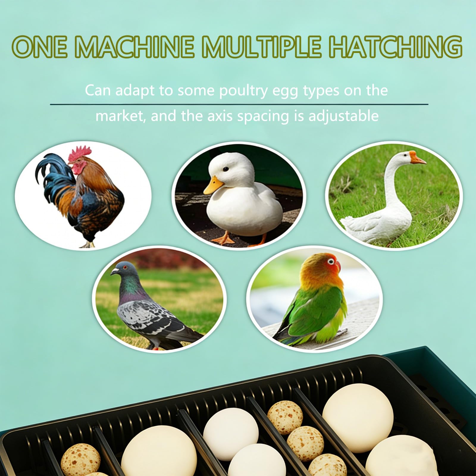 Incubadora De Huevos - Capacità Di 10 Uova Con Girauova Automatico, Controllo Dell'umidità E Candela, A Forma Di Casa Con Finestra Con Vista A 360° Per Pollo, Anatra, Quaglia