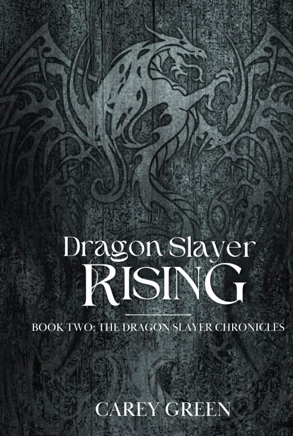 Dragon Slayer: Rising: Book two of the Dragon Slayer Chronicles Christian Fantasy Adventure Series