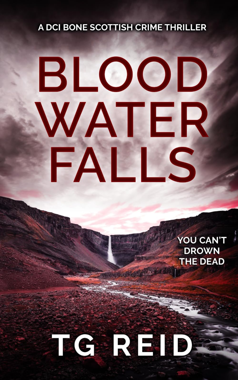 Blood Water Falls: A Scottish Detective Mystery (DCI Bone Scottish Crime Thrillers Book 2)