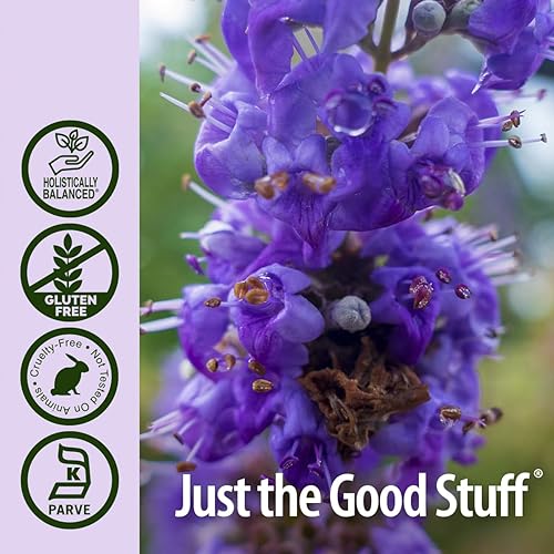 Miniatura 5 de Nature's Answer Chaste Berry Vitex Agnus Castus con alcohol orgánico 2000 mg de extracto de 1 onza  Promueve el equilibrio femenino  Sin gluten, sin