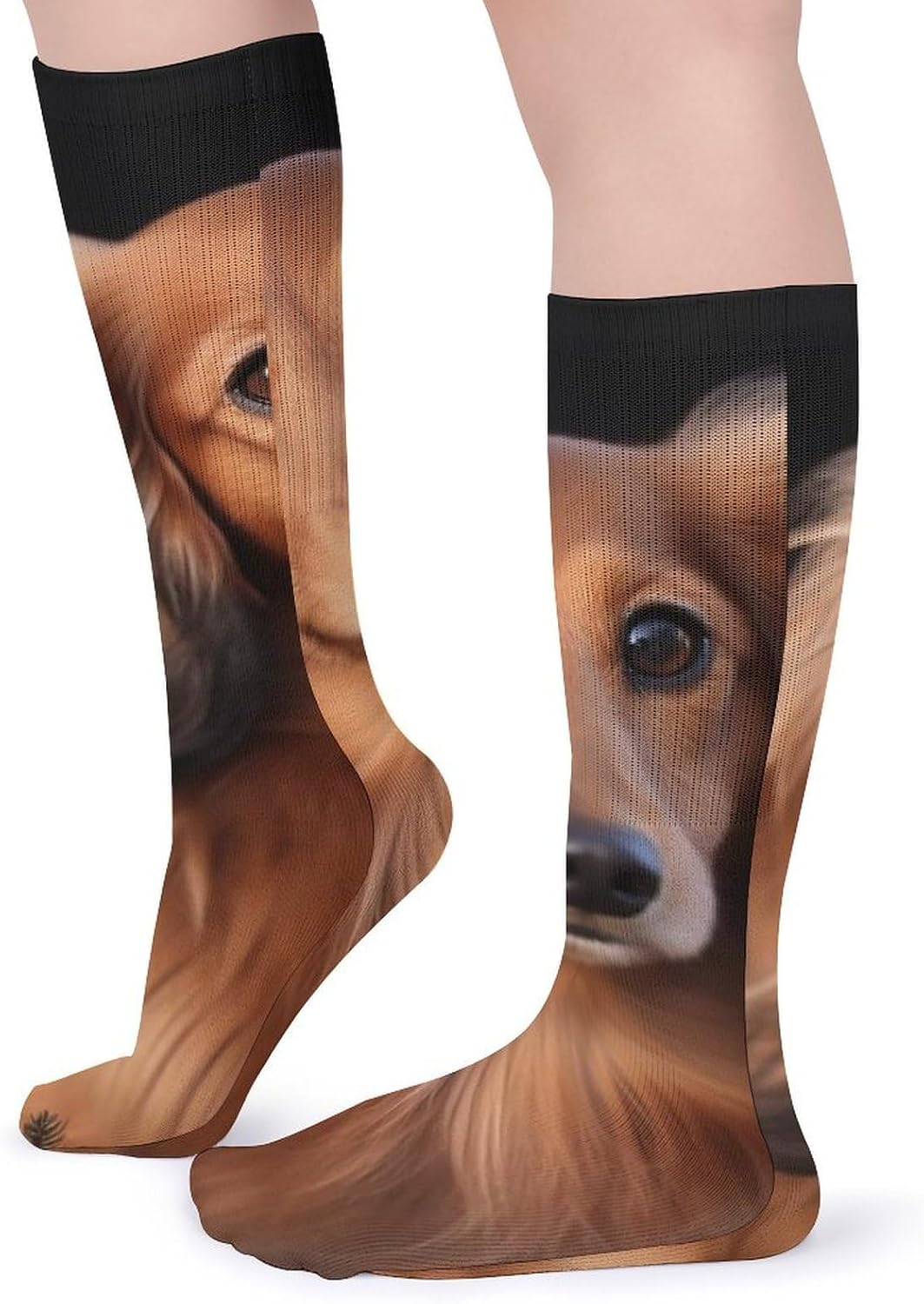Breathable Crew Sock, Moisture Wicking, Athletic Calf Socks, Cozy | Long Haired Dachshund Compression Socks for Women Men, Lightweight High Work Socks for Business, Casual