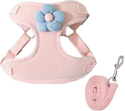 Puppy Harness & Leash Set, Soft Mesh Padded Cat Harness Cute Dog Vest for Outdoor Walking, Running