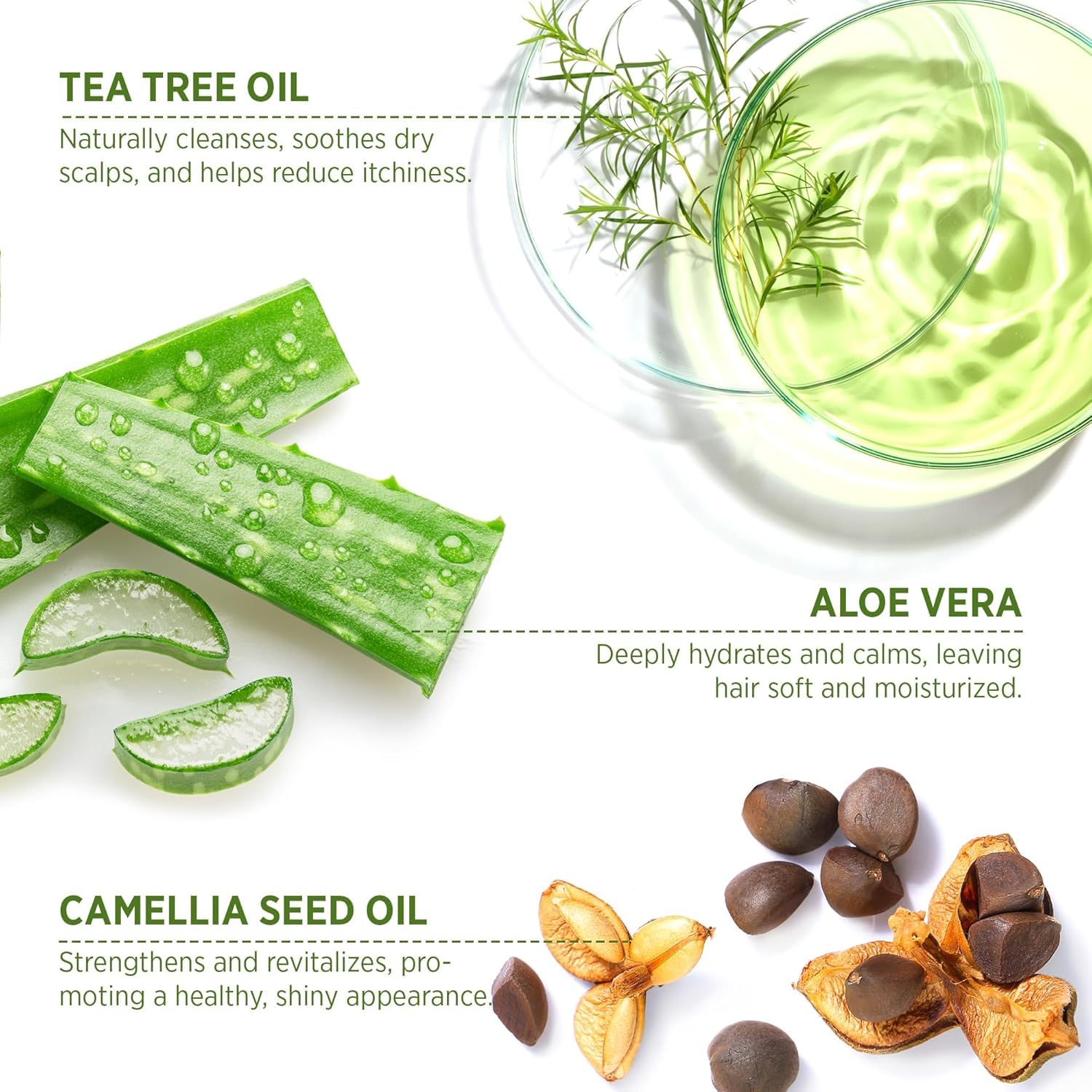 Roycederm Tea Tree Antifungal Shampoo and Conditioner: Complete Scalp Care Solution for Folliculitis Dry, Itchy - Image 3