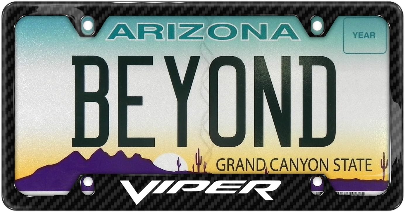 iPick Image Made for Dodge Viper Black Real Carbon Fiber 50 States License Plate Frame