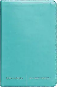 Bíblia Sagrada Luxo Slim: courosoft verde água: Nova Versão Internacional