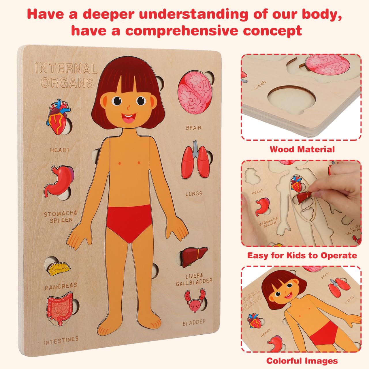 Toyvian Wooden Human Body Puzzle for Kids - Image 3