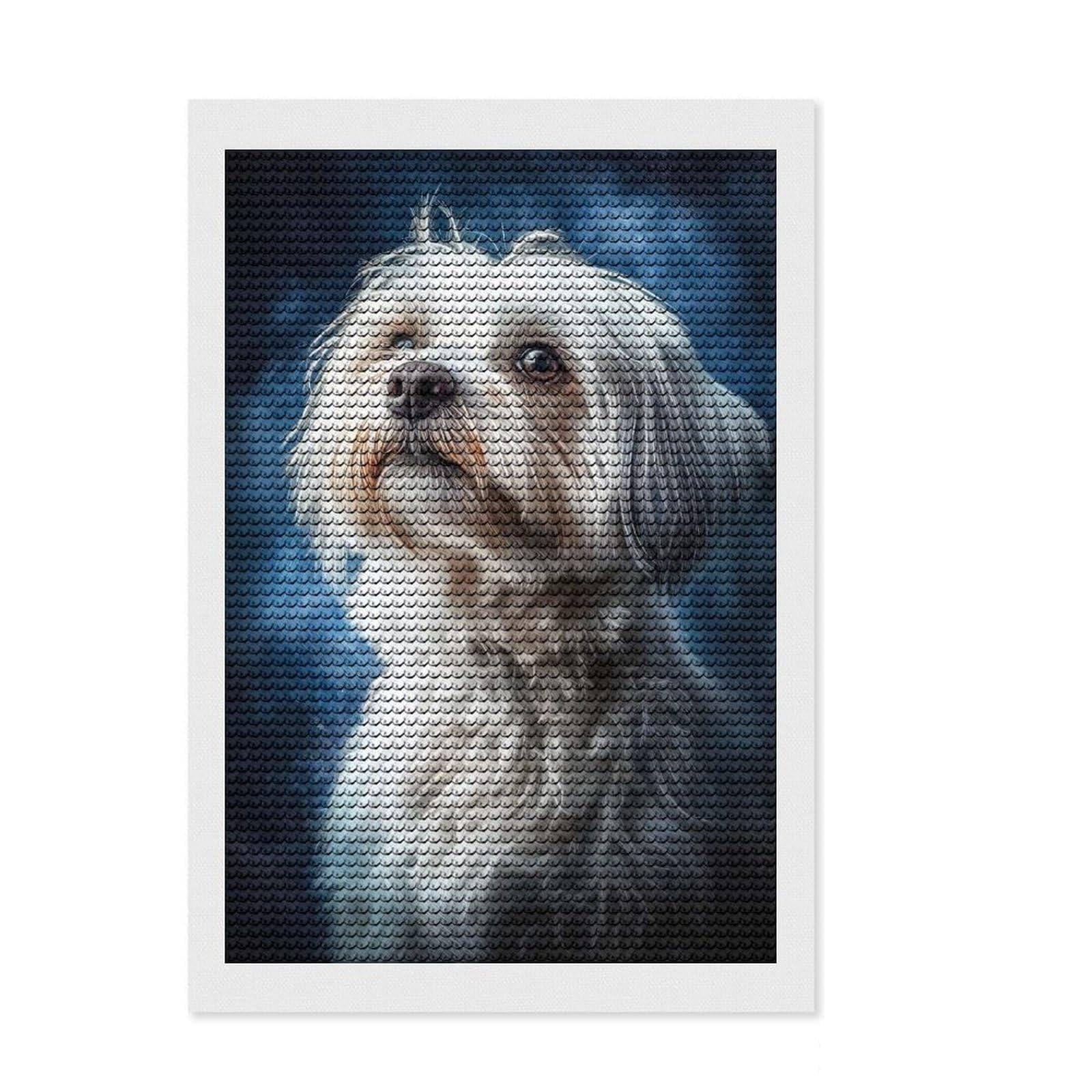 Junmoney Havanese Dog Portrait Round Drill Diamond Painting 8"x12", Office Decor, for Beginners, Fun Craft Experience, Gift Idea, with Tool Kit