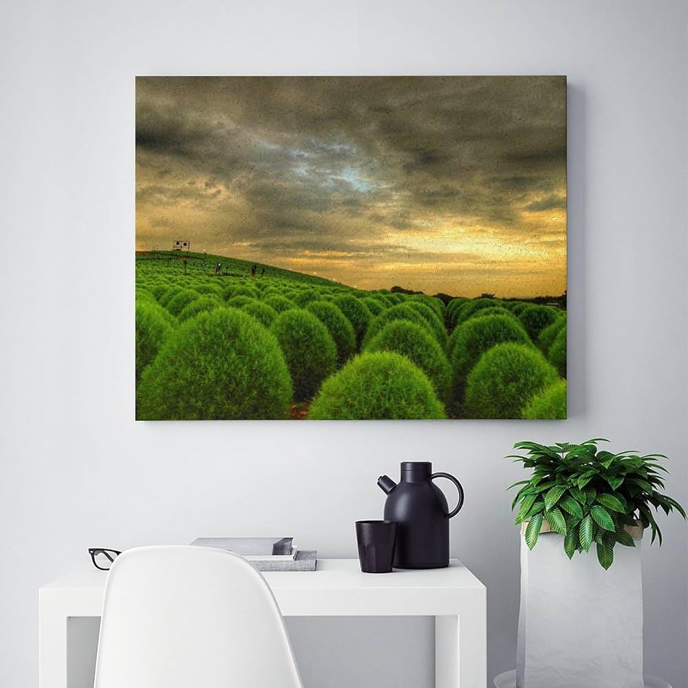 Amazon | 茨城県 夕空コキア国立ひたち海浜公園 数字キット