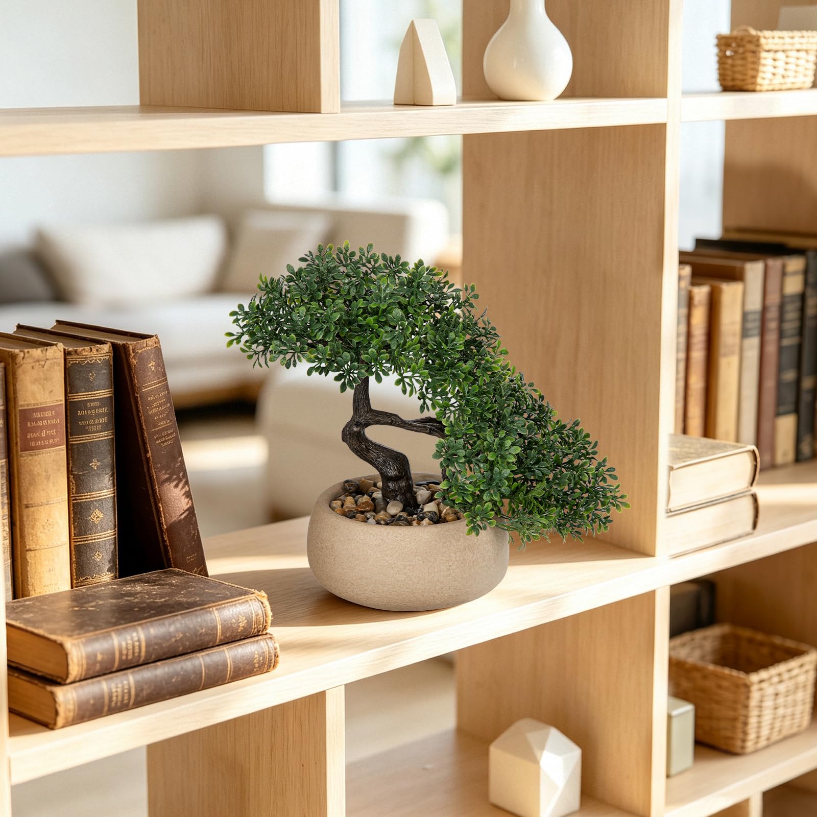 Bonsai artificiale, bonsai Podocarpus, piante artificiali decorative come