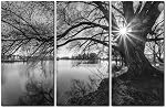 3 Pièces Moderne Toile Peinture Mur Art L'image pour la décoration maison Arbre noir et blanc Silhouette dans le soleil Lever Lake Paysage Imprimer sur toile Giclee Artwork for Wall Decor