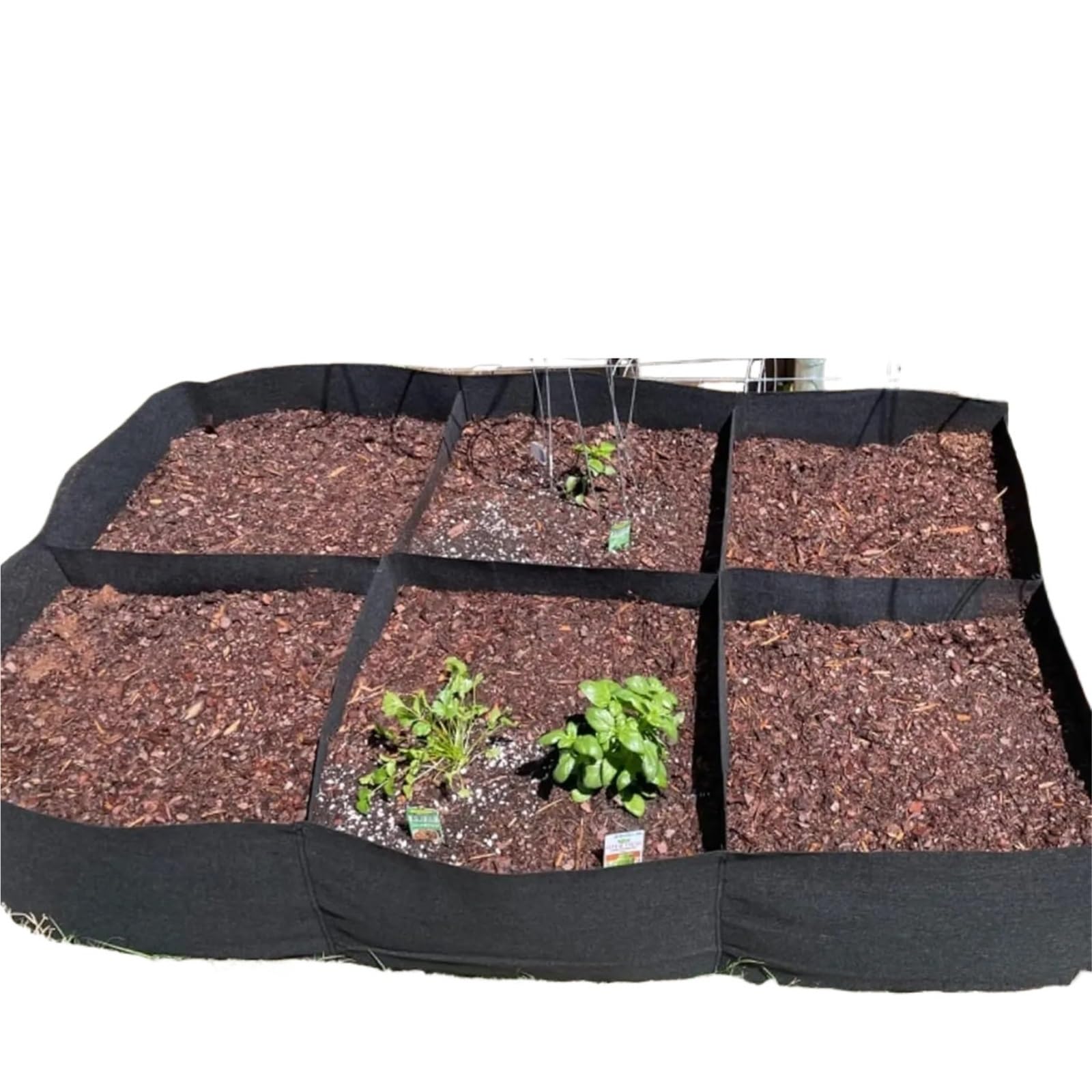 DCUIPG 3Pcs 4x2x1ft Fabric Raised Garden Bed, 55 Gallon Grow Bag For Herbs, Flowers, Vegetables - Easy Setup for Vegetables