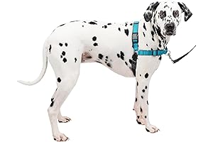 PetSafe Easy Walk Deluxe Harness: Enhanced Comfort and Control for Your Dog
