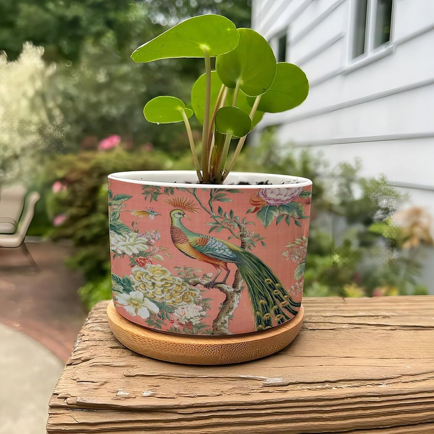 Blush Chinoiserie Bird Ceramic Planter Hydrangea Peacock in Coral Planters for Indoor Plants with Drainage Holes and Saucers Pot for Succulents Cactus Garden Windowsill image 4
