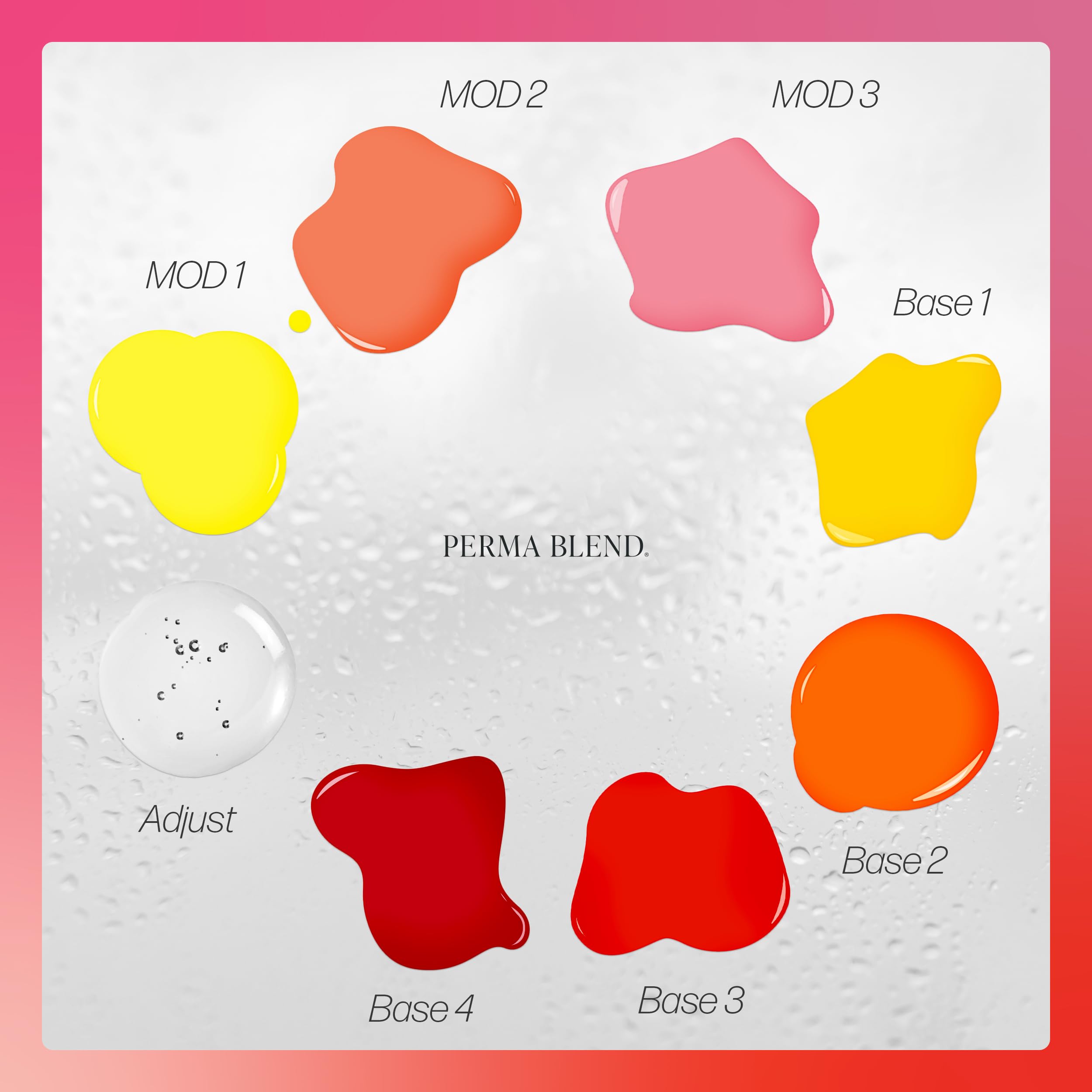 Amazon.com: Perma Blend Carla Ricciardone Embody Set