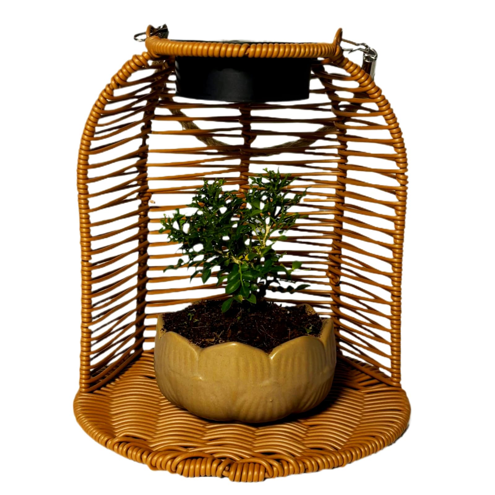 Credelin Solar Wicker Lantern, Hanging Planter for Indoor Plants Waterproof Rattan Plant Pots with Solar Lights for Outdoor Hanging Basket for Plants Automatic Charging Lanterns (Light Brown)