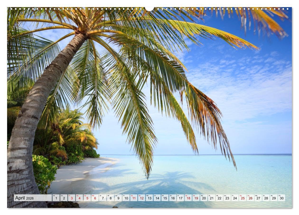 Malediven - Reise in ein Naturparadies (Wandkalender 2026 DIN A2 quer), CALVENDO Monatskalender: Wunderschöne Inseln der Malediven (CALVENDO Natur)