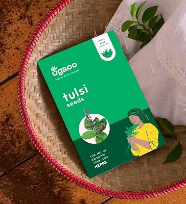 UGAOO Tulsi Herb Seeds (Green, Pack of 4g)