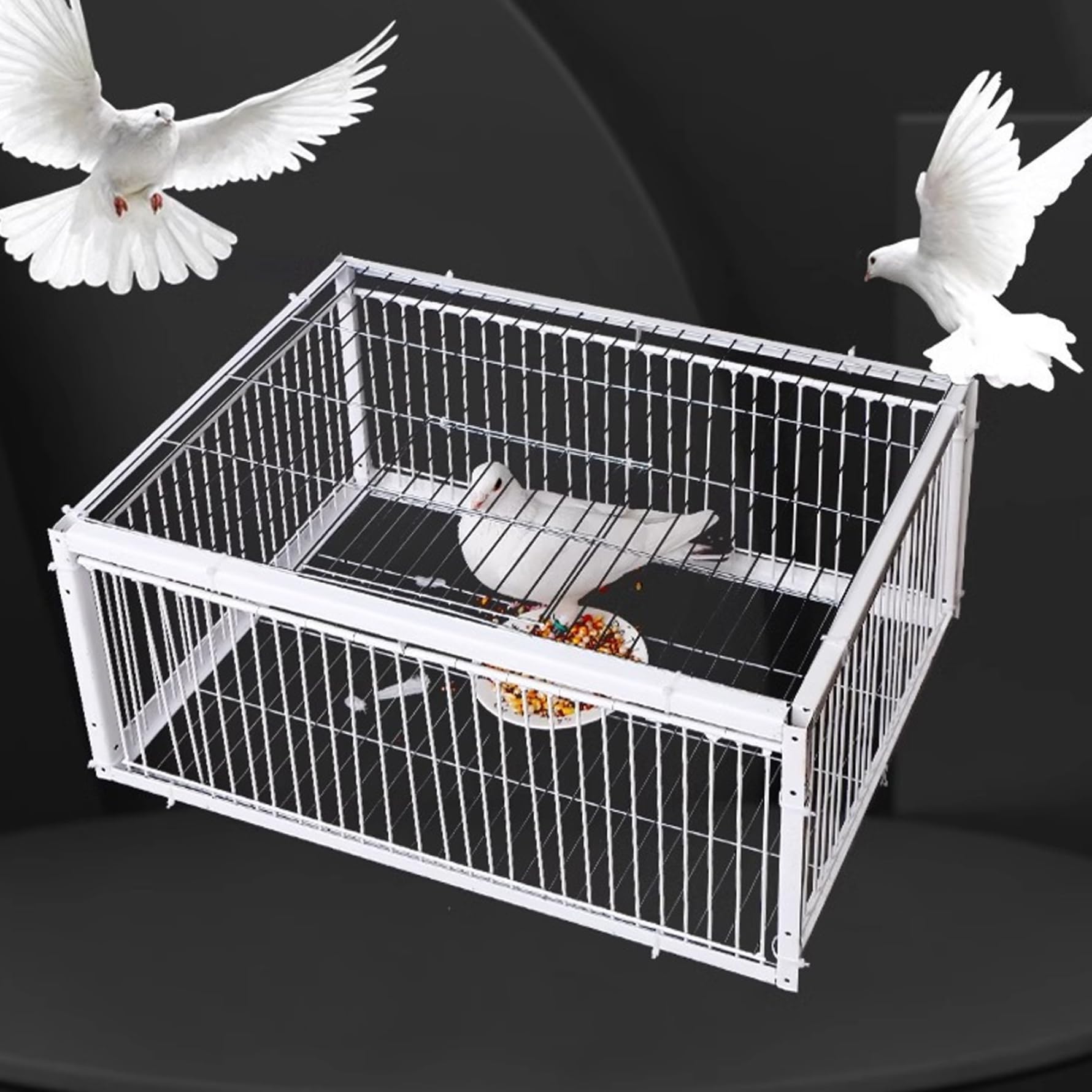 Trampa para Palomas con Cuatro entradas de Acceso unidireccional Trampa para pájaros Jaula para Palomas de 16x12x10 Pulgadas con Jaula para Granjas, graneros, Jardines, cría de