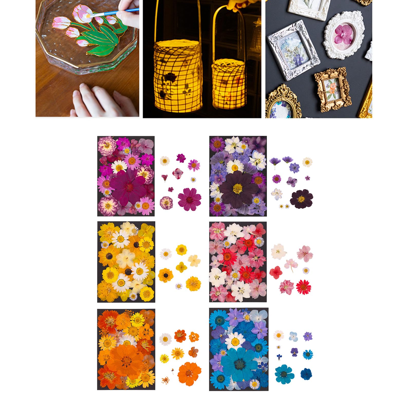 Fiori secchi Naturali per segnalibri, creazione Candele per Gioielli, Foglie pressate Naturali per lavori artistici Fatti a Mano per Arte in Resina