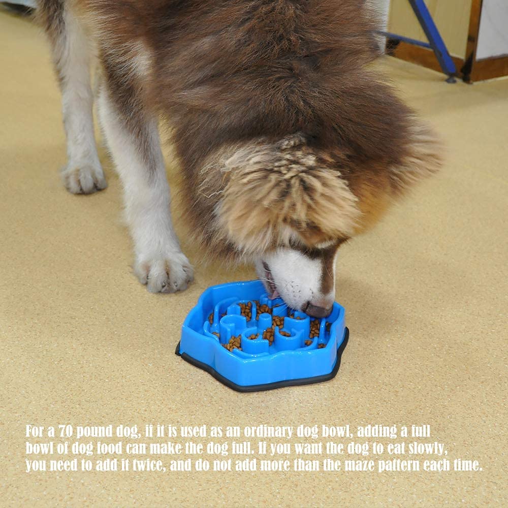 How Much Food Should A 70 Pound Dog Eat