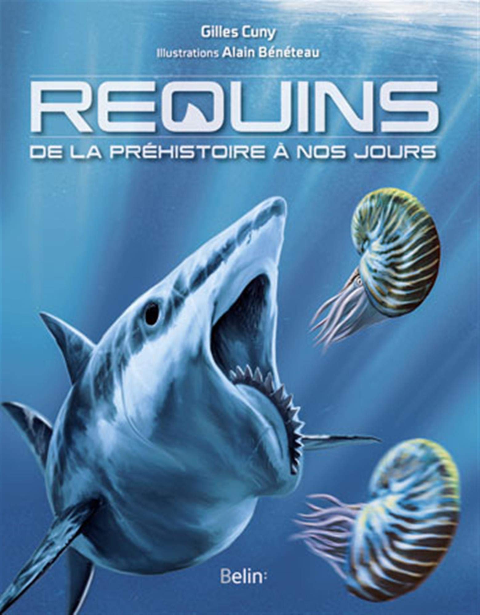 REQUINS: De la préhistoire à nos jours