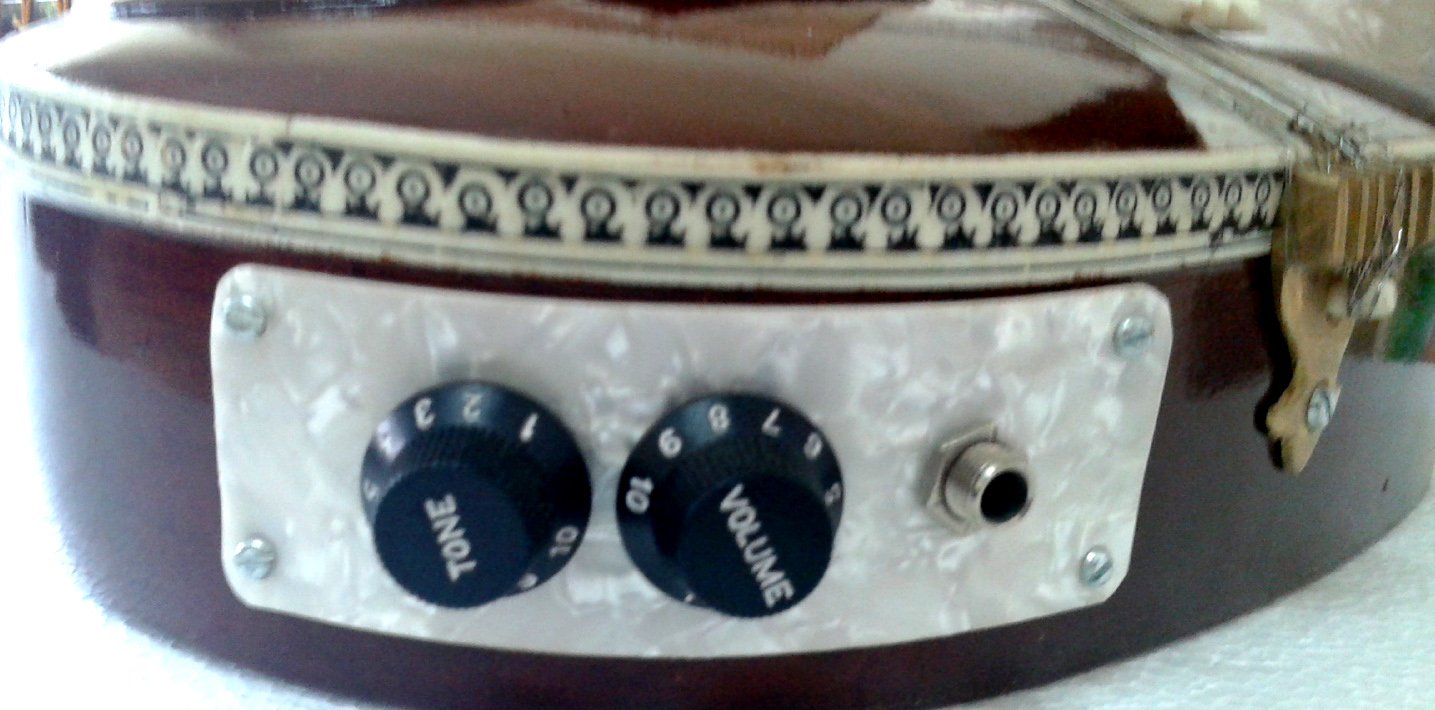 bella mano intagliato Sitar indiano in palissandro scuro. tagliare via il design, Acoustic elettrico.