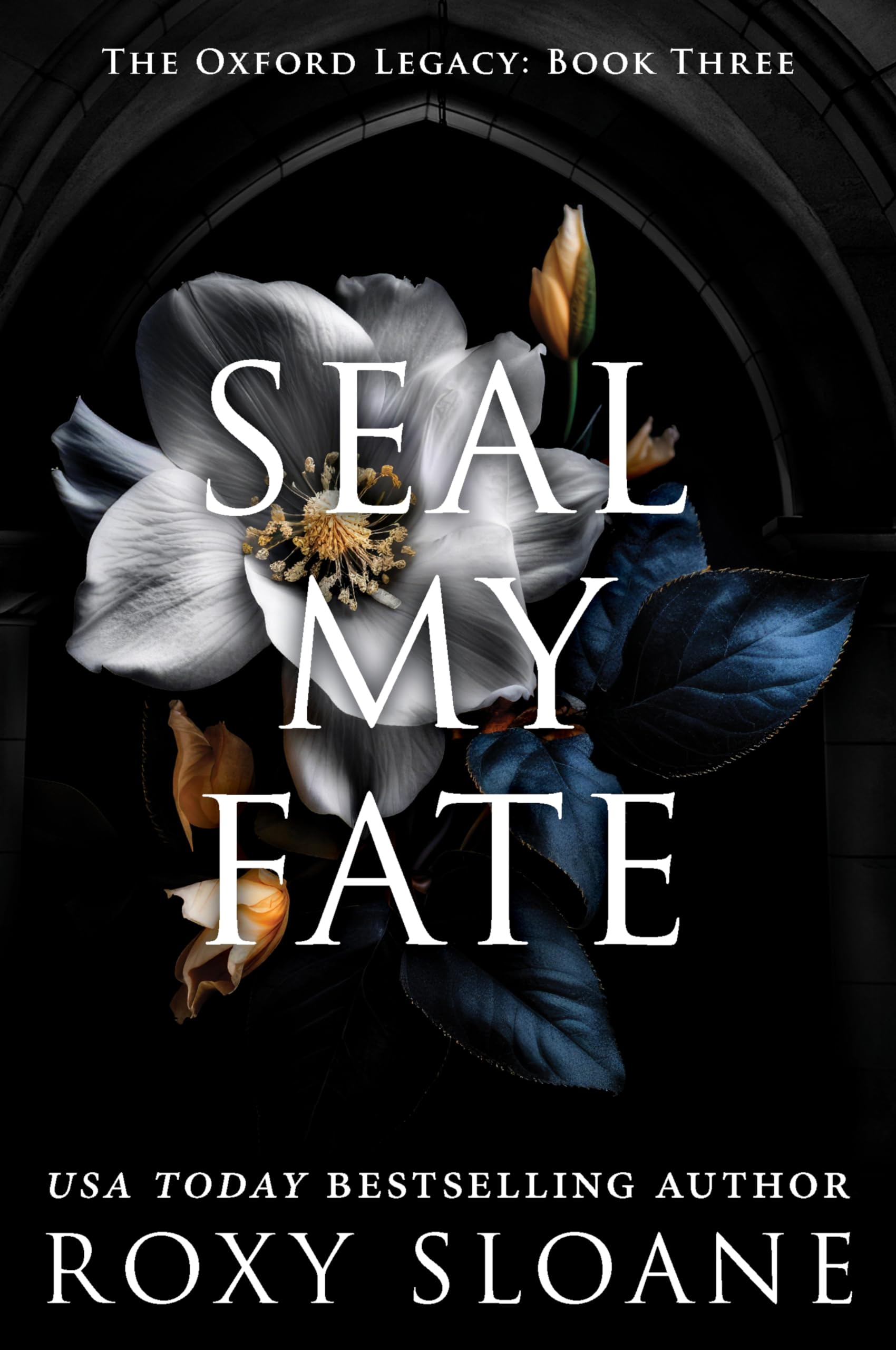 Seal My Fate: A Spicy Dark Academia Romance