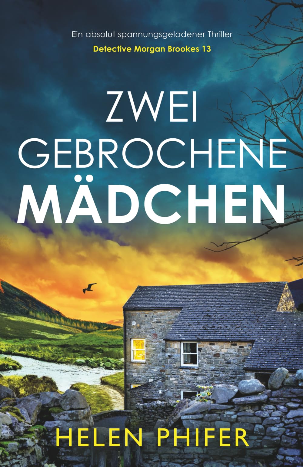 Zwei gebrochene Mädchen: Ein absolut spannungsgeladener Thriller (Detective Morgan Brookes)