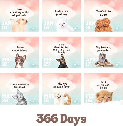 Miniatura 6 de Catchyourdreams Calendario motivacional diario, calendario perpetuo con afirmaciones positivas para comenzar tu día con una sonrisa, regalo de