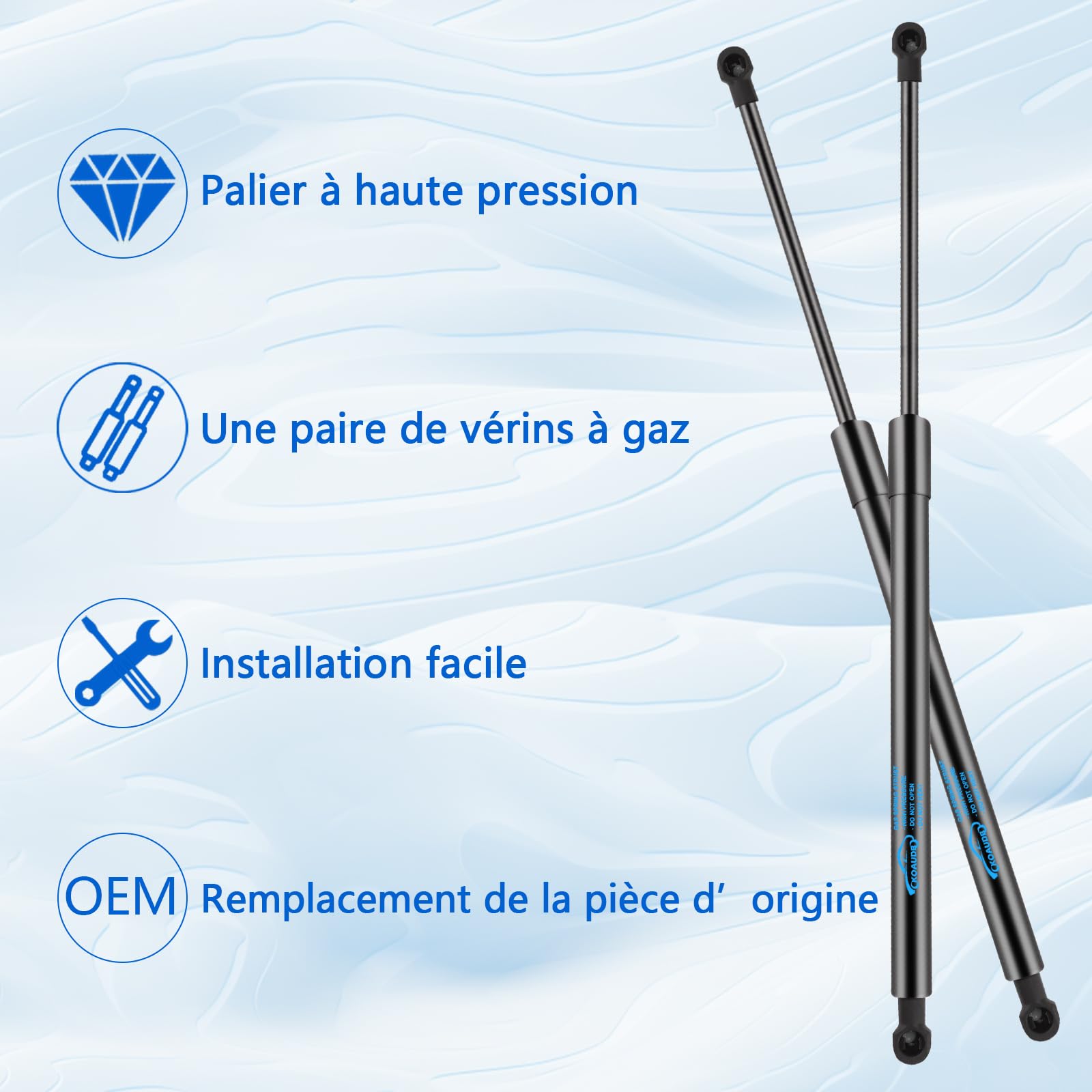 2X Verin de Coffre Voiture pour Scenic 3 2009-2016 Verin de Coffre Voiture Verin Hydraulique Verin a Gaz Remplacer #904500004R, 7000510523B0