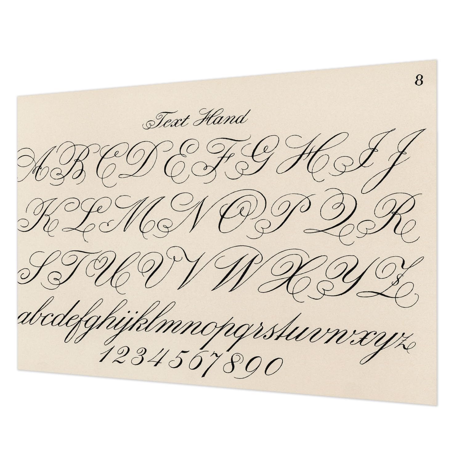 Papier peint intissé 312x219 cm écriture calligraphique pour salon avec colle