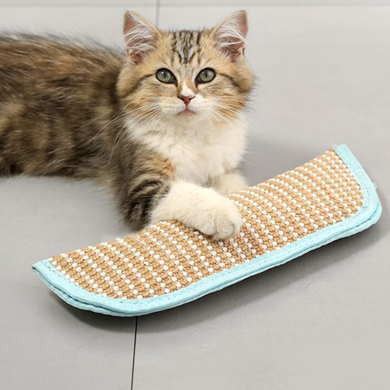 Juguete Para Gatos Con Hierba Gatera Compañero Interactivo 2 Piezas | Juguetes En Forma De Almohada Con Hierba Gatera Para Gatitos Para Razas Pequeñas Medianas y Grandes en Interior y Exterior
