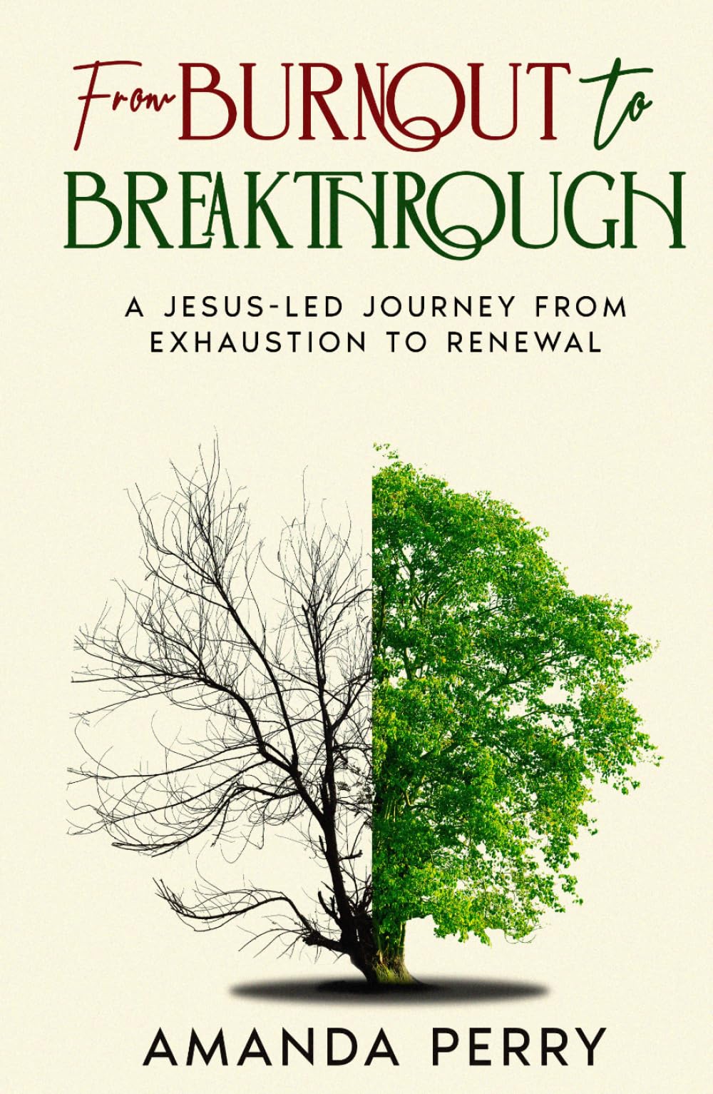 From Burnout to Breakthrough: A Jesus-led Journey from Exhaustion to Renewal