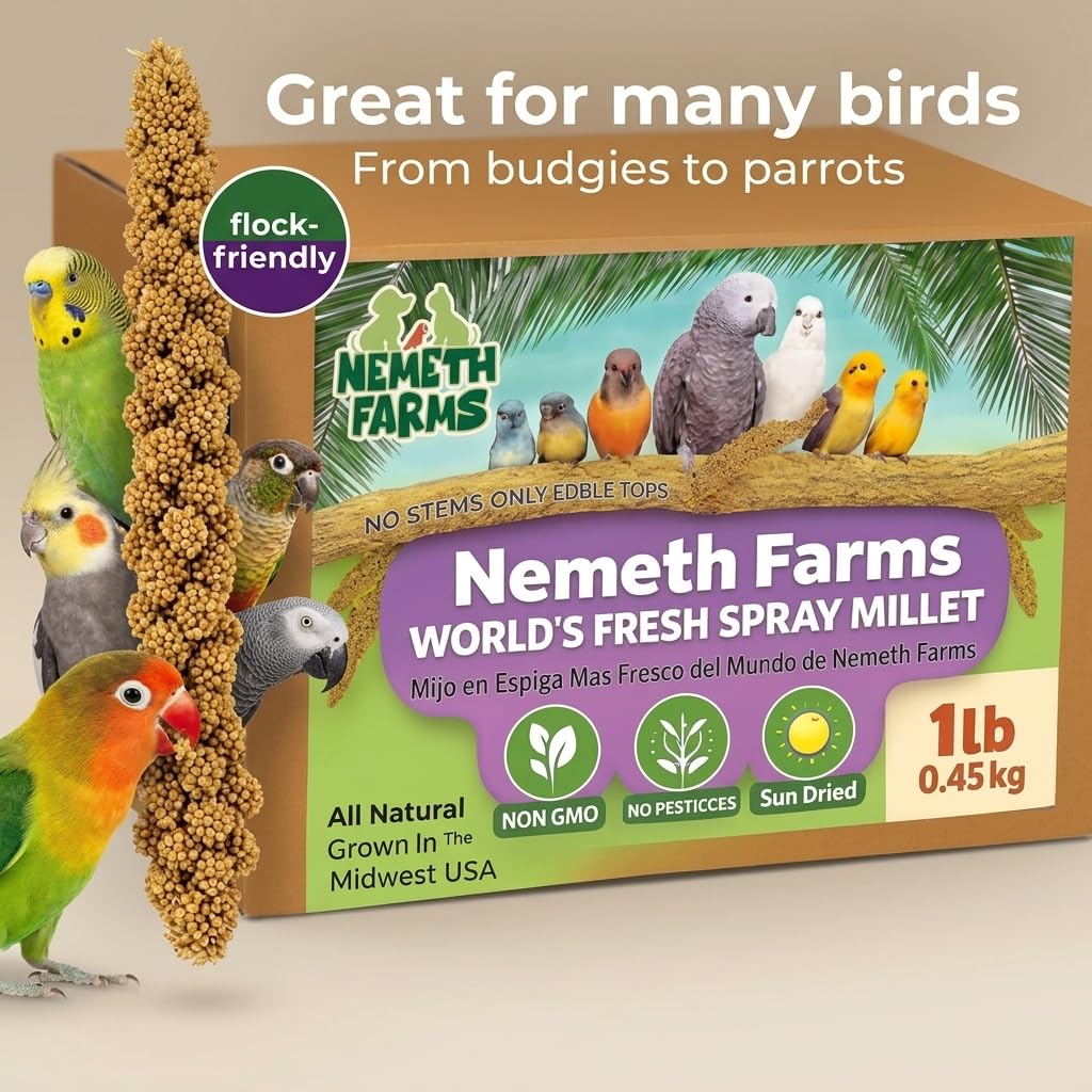 Nemeth Farms Worlds Freshest suszony na słońcu proso w sprayu – nie zawiera genetycznie (bez łodyg tylko jadalnych wierzchnich) – zdrowe przysmaki dla ptaków i suplementów diety dla wszystkich ptaków