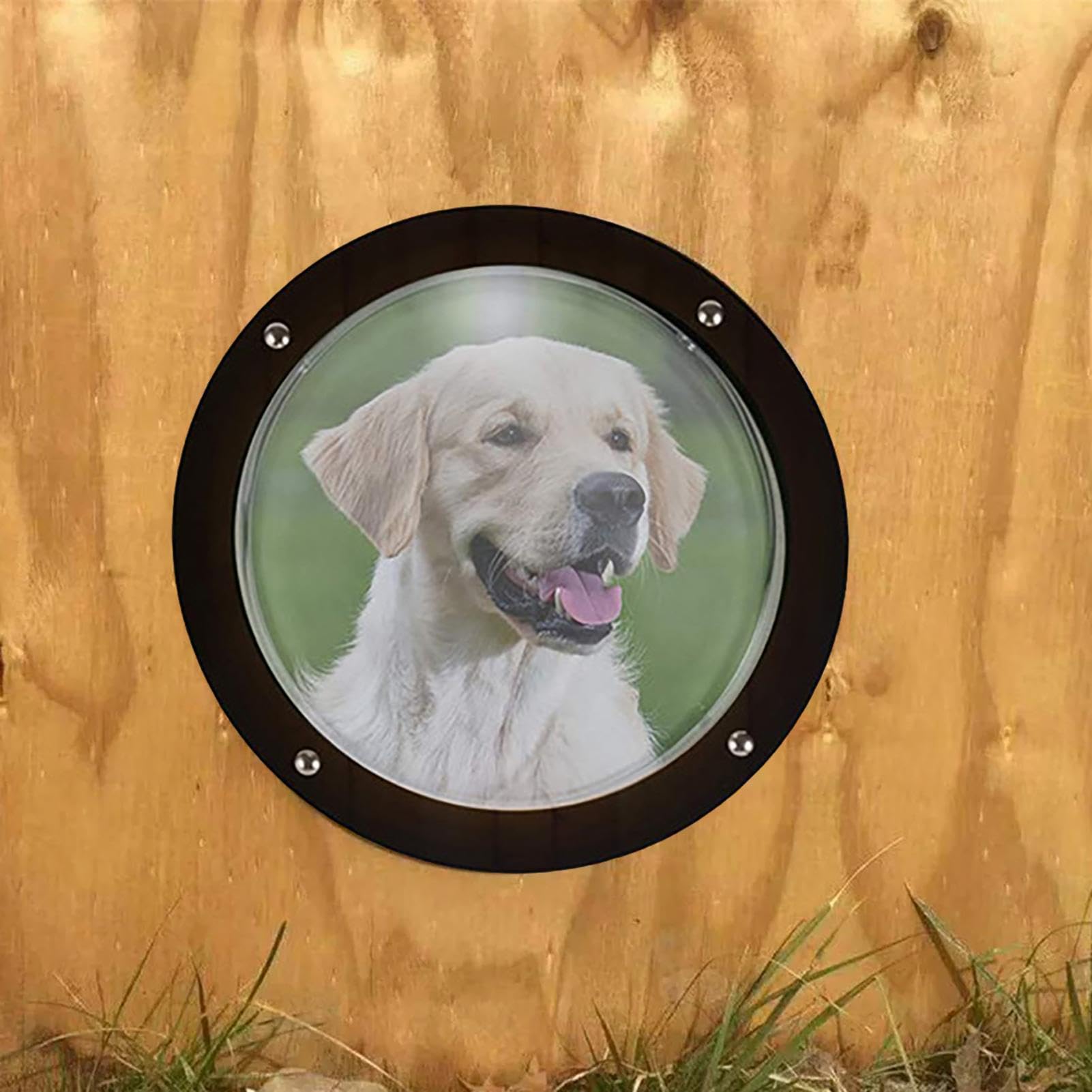 Finestra per recinto per cani, in acrilico, a cupola, trasparente, facile da installare, rotonda, per bambini e animali domestici, cuccia per cani, 33 x 33 x 16 cm